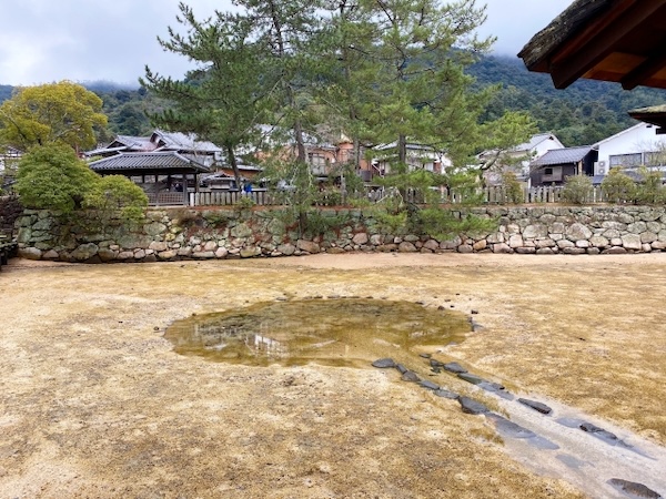 厳島神社 鏡の池,画像