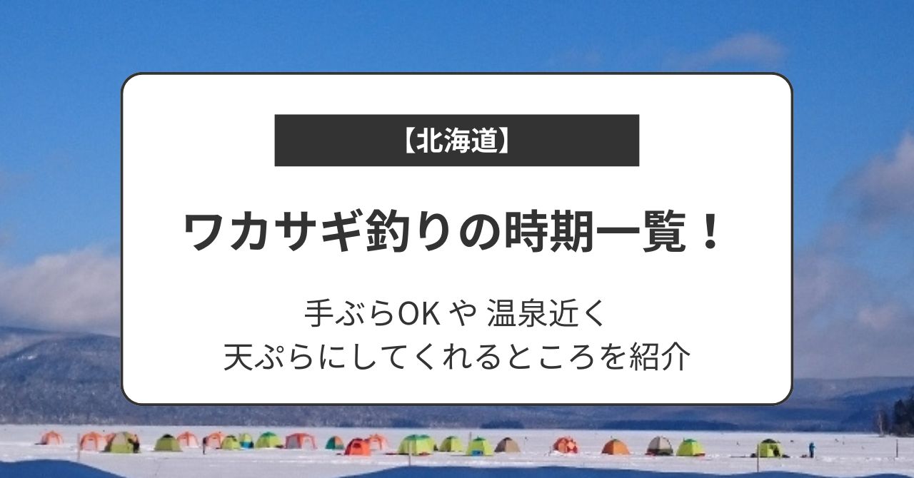 【北海道】ワカサギ釣りの時期一覧！手ぶらOKや温泉あり・天ぷらにしてくれるところを紹介,画像